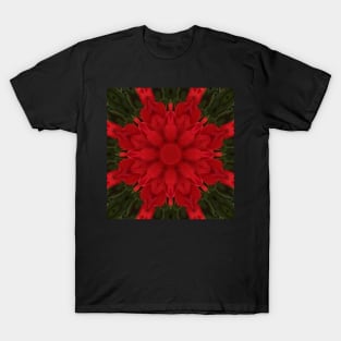 Unique Geranium Red Kaleidoscope pattern T-Shirt